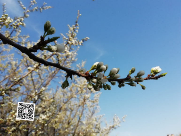 站长拟赴厦门参加中国旅游协会旅游教育分会旅游实践教学培训